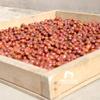 Authentic Nepali Timur Ko Chhop Szechuan Pepper Pickle Mixed Of Spices & Red Chilly Powder That Gives Natural Typical Nepali Flavor (Sour Spicy Timur Ko Achar Pickles - 100G By QT Shopping view 4