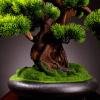 Artificial Bonsai Tree Artificial Bonsai Tree Potted Plant Ornament Bonsai Simulation Bonsai Green Plant Fake Plant Decoration Potted Artificial House Plants for Desk Home Office Display Bonsai Plant view 4