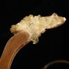 1000 Grams Natural Organic Chinese Angelica,Angelicae,Sinensis Radix,Danggui,Bulk Herbs,Herbal Supplement. view 3