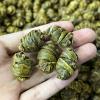 Dendrobium officinale/Dendrobium candidum/Herba Dendrodii Officinalis, 250g. Rich Colloid, no slag, Dark Green Large Particles, Nourishing view 3