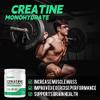 Creatine Monohydrate Powder 500g, Pure Micronized Creatine Supplements for Men and Women Building Muscle, Pre & Post Workout Supplements, Vegan, Unflavored - 100 Servings (1.1Lb) view 3