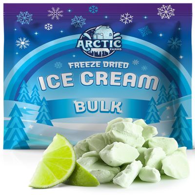 Arctic Farms Freeze Dried Ice Cream Bits Bulk - Does Not Melt (Key Lime) (1lb)