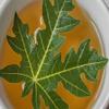5.2oz Papaya Leaves Dried, Papaya Leaf Tea, Made from Green Leaves, No Additives, Non-Gmo, Gluten-Free, Vegan. Makes 56+ Cups of Fresh Natural Tea. By Akshit view 3
