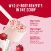 FlavCity Grass Fed Whey Protein Powder - Berries & Cream - 25g Protein & 10g Collagen - Made with Organic Strawberries & Coconut Milk - Gluten Free & No Added Sugars (20 Servings) view 4