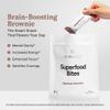 For Wellness Superfood Bites Focus | Healthy Snacks for Adults and Kids | Organic, Healthy Snack with Nootropics for Energy and Brain Food | Cocoa Espresso Brownie Bites, 10 Count view 3