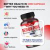 Ultra Herbs Premium Berberine with Cinnamon, Milk Thistle - Promotes Liver Function, Gut Health, Immunity (150 Count (Pack of 1)) view 4