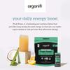 Organifi Peak Power, Pre Workout Powder to Support Hydration, with Lion's Mane and Guayusa view 3