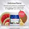 Gundry MD MCT Wellness Powder to Support Energy, Ketone Production and Brain Health, Keto Friendly, Sugar Free (30 Day Supply, Watermelon Lemonade) view 3