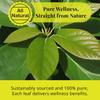 2.6oz Dried Avocado Leaves, Aromatic Tea, 100% Natural Avocado Leaves, Hojas De Aguacate Secas, Leaf Tea, Caffeine-Free, Non-GMO. by Akshit view 4