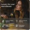 Greenworks Nature's Digest Gut Health Supplement, Digestive Enzymes with Soil-Based Probiotics & Prebiotics, Supports Digestion, Bloating & Regularity, Non-GMO Vegan Shelf-Stable Capsules, 60 Count view 4