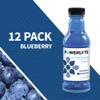 POWERLYTE Sport Hydration Electrolyte Solution Drink for Rehydration | Blueberry | 16 Fl Oz | 12-Pack view 3