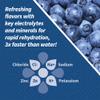 POWERLYTE Sport Hydration Electrolyte Solution Drink for Rehydration | Blueberry | 16 Fl Oz | 12-Pack view 4