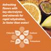 POWERLYTE Sport Hydration Electrolyte Solution Drink for Rehydration | Tropical Fruit | 16 Fl Oz | 12-Pack view 4