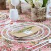 EcoQuality 13" inch Round Clear Plastic Charger Plates with White Rim - China Like Party Plates, Heavy Duty Large Disposable Dinner Plates, Reusable Salad Plate, Wedding, Catering, Events (12 PACK) view 2