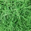 DIYASY Christmas Green Shredded Paper,7 Oz Grass Basket Filler for Gift Box Crinkle Raffia Paper for Packaging Easter Decoration view 2
