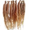 6~7 Years Whole Asian Panax Korean Red Ginseng Roots, Korean Panax 500g view 2