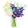 KaBloom Flowers - Starry Night in the Tropics Bouquet of Blue and White Orchids with Vase - Gift for Birthday, Sympathy, Anniversary, Get Well, Thank You, Valentine, Mothers Day Fresh Flowers view 1