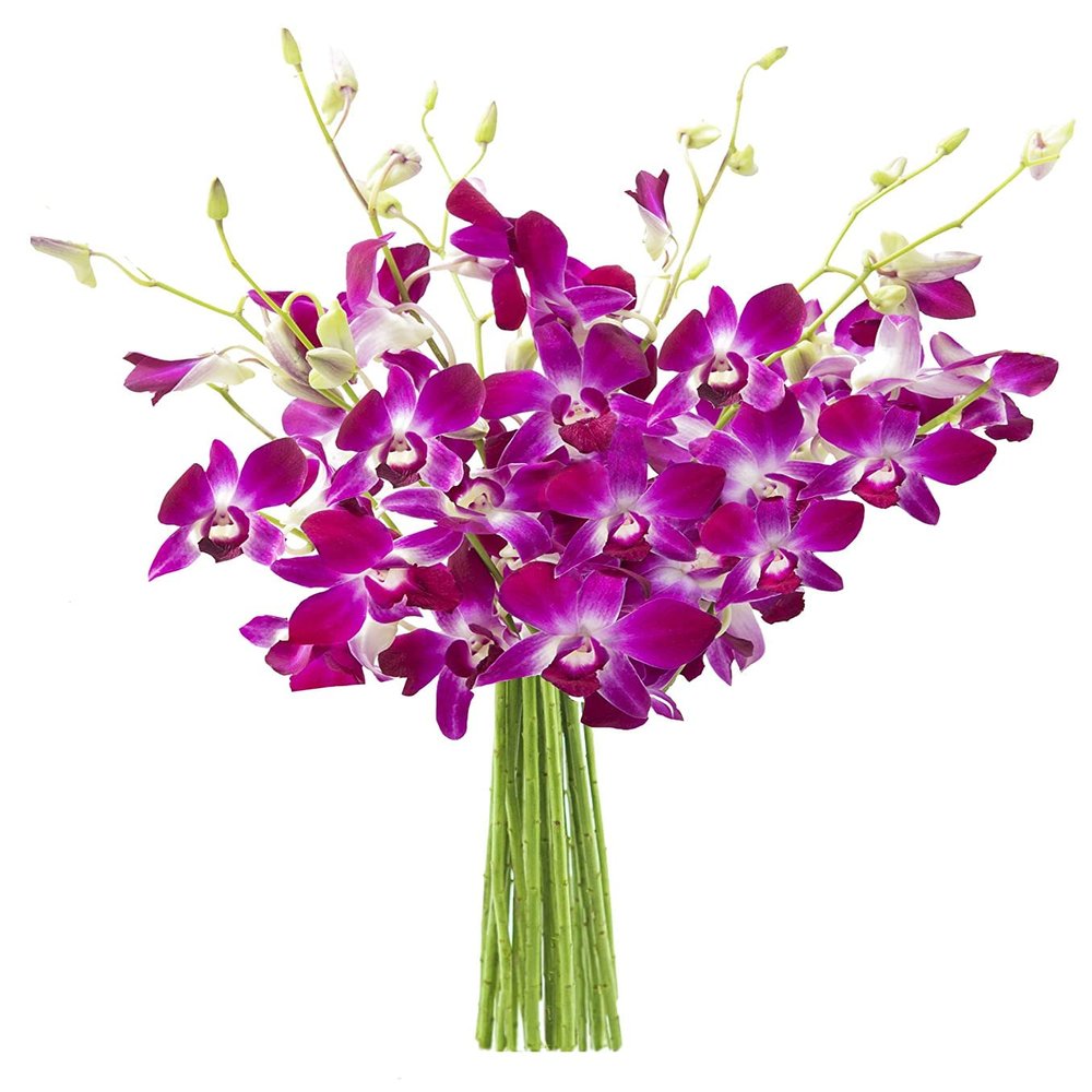 DELIVERY by Thu, 01/25 Guaranteed IF Order Placed by 01/24 Before 2PM EST.KaBloom PRIME OVERNIGHT DELIVERY - "National" Collection Bouquet of Purple Orchids
