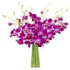 DELIVERY by Thu, 01/25 Guaranteed IF Order Placed by 01/24 Before 2PM EST.KaBloom PRIME OVERNIGHT DELIVERY - "National" Collection Bouquet of Purple Orchids view 1