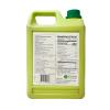 Possmei KiwI Flavored Syrup, 5.5 Pound Plastic Jar 1 PacK view 2