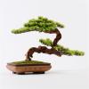 Artificial Plants Bonsai Tree Indoor Wood Welcoming Pine Bonsai Zen Decorative Bonsai with Ceramic Pots Living Room Corridor Desktop Decor view 4