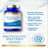 Carlyle Proteolytic Enzymes | 300 Capsules | Systemic Broad Spectrum Supplement | Vegetarian, Non-GMO & Gluten Free Formula view 4