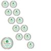 Hummus Chick Roasted Garlic & Cilantro Hummus, 8 oz, 12 Pack view 1