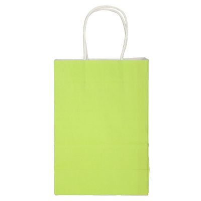 10PCS Kraft Paper Bag,5.9 x 3.1 x 8.3in Shopping Bag, Portable Gift Bag with Handle, Durable and Practical Paper Bags for Merchandise Birthday Craft Party Wedding Shopping Baby Shower(Green)