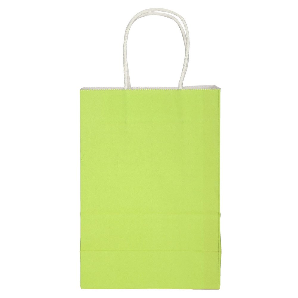 10PCS Kraft Paper Bag,5.9 x 3.1 x 8.3in Shopping Bag, Portable Gift Bag with Handle, Durable and Practical Paper Bags for Merchandise Birthday Craft Party Wedding Shopping Baby Shower(Green)