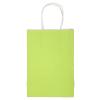 10PCS Kraft Paper Bag,5.9 x 3.1 x 8.3in Shopping Bag, Portable Gift Bag with Handle, Durable and Practical Paper Bags for Merchandise Birthday Craft Party Wedding Shopping Baby Shower(Green) view 1
