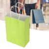 10PCS Kraft Paper Bag,5.9 x 3.1 x 8.3in Shopping Bag, Portable Gift Bag with Handle, Durable and Practical Paper Bags for Merchandise Birthday Craft Party Wedding Shopping Baby Shower(Green) view 3
