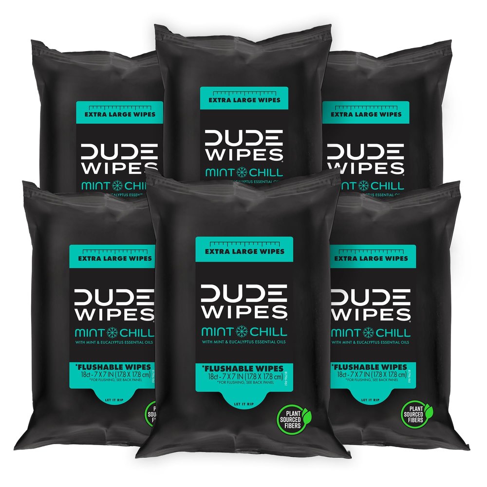 DUDE Wipes Mint Chill Travel Wipes - 6 Packs of 18 (108 Count) - Extra-Large Cleansing Flushable Wipes - Infused with Tea Tree Oil, Eucalyptus, and Aloe - Septic and Sewer Safe