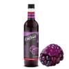 DaVinci Gourmet Boysenberry Syrup, 25.4 Fluid Ounces (Pack of 1) view 1