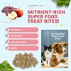 CocoTherapy Organ Bites! Dog and Cat Treat (Pork + Apple), 3 Oz. view 3