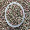 Wholesale Natural Semi Tumbled Unakite Gemstone Chips, Crushed Mini Crystals, Undrilled Crystal Chips (Unakite, 1 Pound) view 3