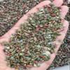 Wholesale Natural Semi Tumbled Unakite Gemstone Chips, Crushed Mini Crystals, Undrilled Crystal Chips (Unakite, 1 Pound) view 4