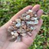 Wholesale Natural Semi Tumbled Multi Peach Moonstone Gemstone Chips, Crushed Mini Crystals, Undrilled Crystal Chips (Multi Peach Moonstone, 10 Pounds) view 3