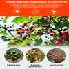 BAILINHOU Sichuan peppercorn powder 0.88oz/25g, red szechuan peppercorns ground ORIGINAL IMPORTED of china view 4