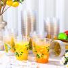 Blulu 60 Pcs Lemon Party Cups Bulk 16 oz Lemon Theme Disposable Plastic Cups Summer Lemonade Stand Hot Cold Drinks Supplies for Summer Fruit Party Supplies Favors view 4