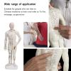 10.2in Human Body Acupuncture Model, Professional Portable Meridian Points Model for Science Class Education view 4