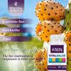 VITAMINS NATURAL CORP Vital Salud Boost Your Immune System and Soothe Varicose Veins with 100% Organic Nopal and L-Carnitine view 4