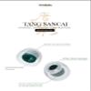 Linsoul TANGZU Tang Sancai in Ear Monitor Ear Plugs, 3 Pairs, Matte Texture Straight Tooth Grooves Eartips for IEMs, in-Ear Earphone, Audiophile Musician (S/M/L) view 2