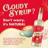 ChocZero Sugar Free Vanilla Syrup for Coffee - Keto Flavoring Syrups - Low Calorie Simple Syrup for Flavored Drinks  25.4 Fluid Ounces view 3