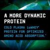Beyond Raw Dynamic Whey, High-Tech Protein, Optimized Absorption and Faster Recovery, Vanilla Ice Cream, 25 Servings view 4