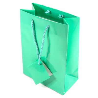 cBox Glossy Robins Egg Teal Blue Gift Tote Bags (8" x 4" x 10") 10pcs for Gifts, Presents, Party Favors, Retail, Merchandise, Weddings, Birthdays, Events