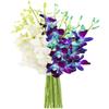DELIVERY by Thu, 01/25 Guaranteed IF Order Placed by 01/24 Before 2PM EST.KaBloom PRIME OVERNIGHT DELIVERY - "National" Collection Starry Night in the Tropics Bouquet of Blue and White Orchids view 1