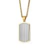 MZZJ Penicillin Allergy Engraved Medical Alert ID Necklace Military Style Gold Plated Stainless Steel Striped Dog Tag Pendant Necklaces,Outdoor Allergy First Aid ID SOS Necklaces for Teens Adult view 2