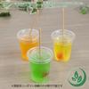BSH621 Sugarcane Straws, Individual Packaging, Approx. 0.2 x 8.3 inches (6 x 210 mm), Pack of 100, Eco-Friendly, Disposable, Eco-Friendly view 3