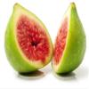 Fig Fruit Tree (Turkish Fig Tree, 5 Gallon) view 2