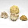 HXSCOO Unopened Natural Agate Geode Raw Crystals Mineral Energy Healing Quartz Rough Stones Crystal Cluster Cave Collection Specimen (Color : Agate Geode, Size : 10pcs) view 2
